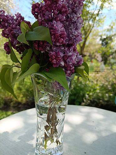 Kućna hemija i proizvodi za kuću: Limes – domaća sredstva za čišćenje i negu - Limes Sjaj Abraziv (600 — 6