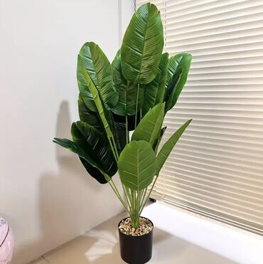 Süni güllər: 🌸 İstədiyiniz dibçəyi, istədiyiniz ölçüdə yığırıq! 🏡 Evlər, ofislər -da lalafo.az — 15 Süni güllər: 🌸 İstədiyiniz dibçəyi, istədiyiniz ölçüdə yığırıq! 🏡 Evlər, ofislər — 15