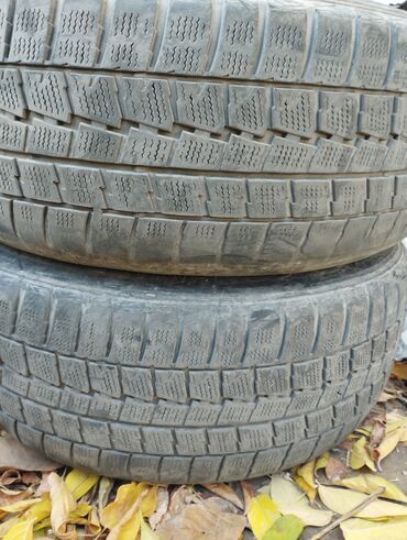 шина 2255017: Шины 225 / 50 / R 17, Зима, Б/у, Пара, Легковые, Dunlop