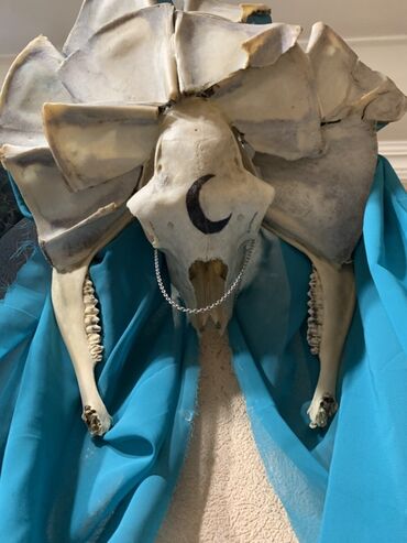 декор стена: Декоративная настенная композиция из натуральных костей/черепа с