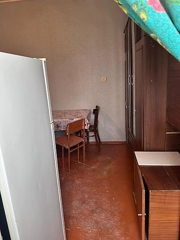 Həyət evləri və villalar: 30 kv. m, 1 otaqlı, İnternet, Telefon, Qaz — 5