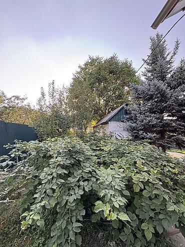 Продажа коттеджей и домов: Продается дом в Беш-кунгее Красная книга, Договор купли продажи — 15