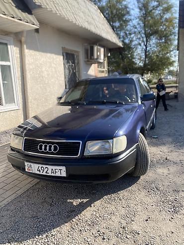 Audi 100: 1993 г., 2 л, Механика, Газ, Седан