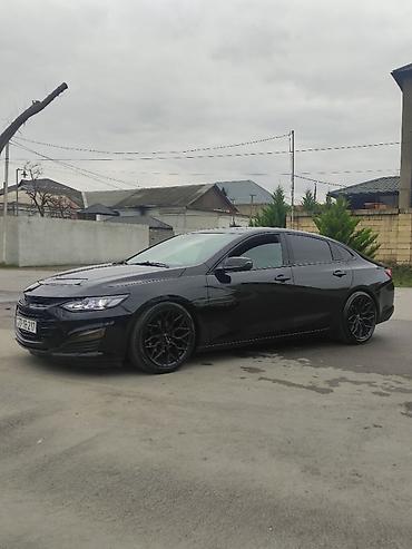 235 50 16: Chevrolet Malibu: 2 l | 2024 il 100000 km Sedan — 3