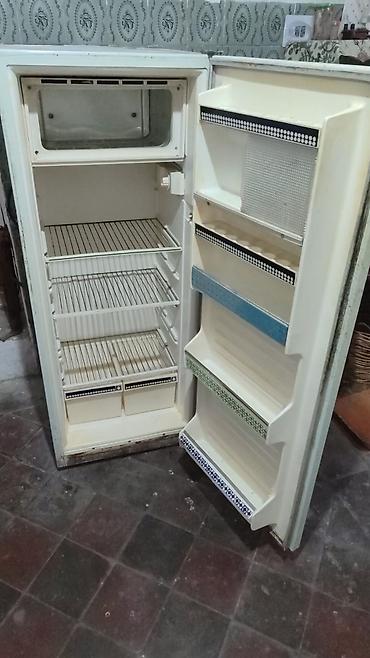 Digər soyuducu avadanlığı: Ev üçün soyuducu — 1