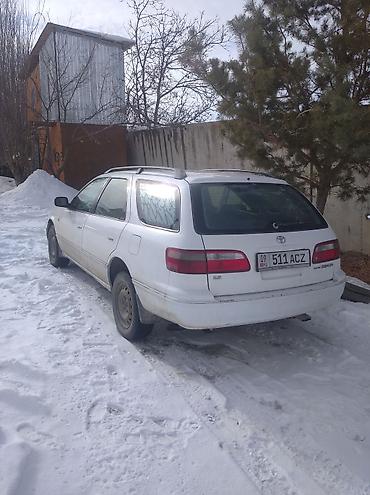 туманик камри 30: Toyota Camry: 1997 г., Автомат, Бензин, Универсал — 1
