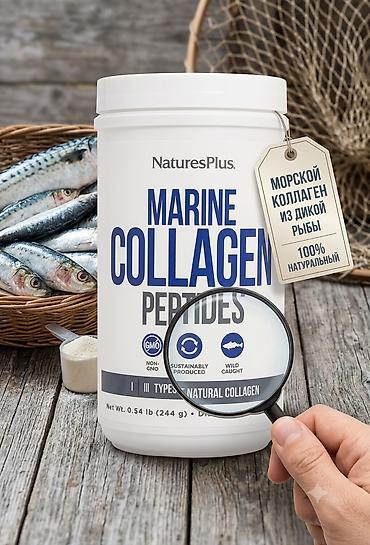 кормящий: Морской коллаген, Для костей, Для ногтей, Для роста волос, iHerb/Айхерб, Super Collagen Plus, Для взрослых, Для женщин, Для кормящих, США, Порошок, Новый — 1