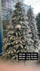 ailə ağacı: Yeni il yolkası 🎄 Bayram əhvalını evinə gətir! 💚 ✔️ Keyfiyyətli və sıx