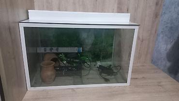 akvariumlar: Dördbucaq akvarium, Boş, 135 l, Ünvandan götürmə — 1