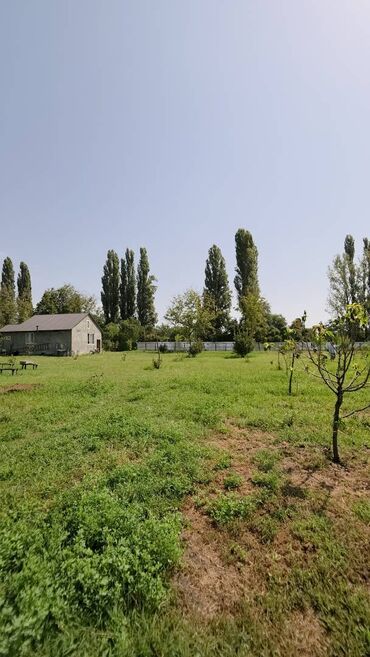 Həyət evləri və villalar: 185 sot, Mülkiyyətçi, Kupça (Çıxarış)
