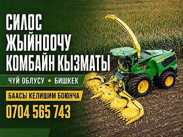 Услуги силосоуборочного комбайна - Профессиональная уборка кукурузы и