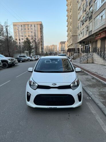 Kia: Kia Morning: 2019 г., 1 л, Автомат, Бензин, Хэтчбэк