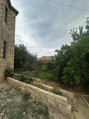 telnov küçəsi: 10 otaq, 380 kv. m, Kredit yoxdur, Təmirsiz — 7