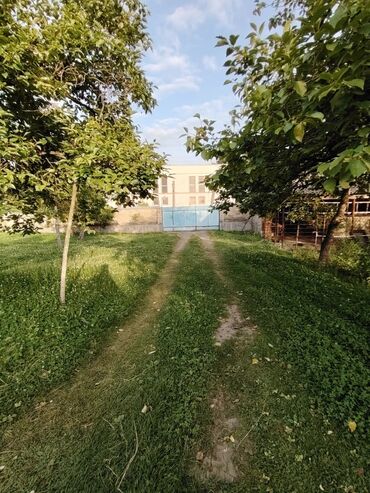 Bağ evlərinin satışı: Zaqatala, 110 kv. m, 4 otaqlı, Hovuzsuz, Artezian quyusu -da lalafo.az — 4 Bağ evlərinin satışı: Zaqatala, 110 kv. m, 4 otaqlı, Hovuzsuz, Artezian quyusu — 4