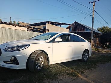 мотор морнинг: Hyundai Sonata: 2020 г., 2 л, Автомат, Газ, Седан — 3