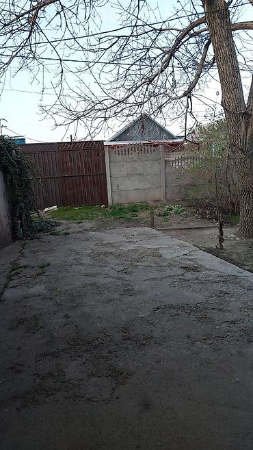 территория: Продаю. земельный участок 12 соток село восток, на территории есть — 3