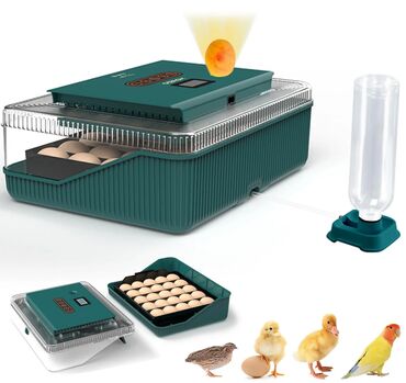 Зоотовары: Инкубатор для 25 яиц ZC25 1)Выбирайте свежие оплодотворенные — 4