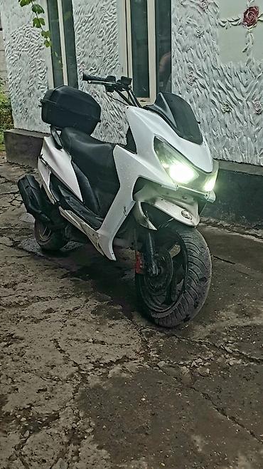 маленькие питбайки: 🛵 Скутер MAXI 150 кубов 🔥 ✅ На полном ходу — сел и поехал ⚙️ Двигатель — 2