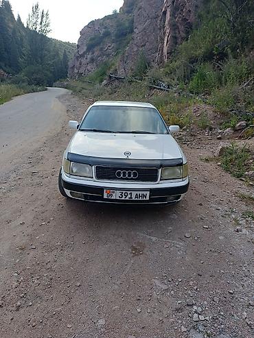 Audi 100: 1992 г., 2 л, Механика, Бензин, Седан