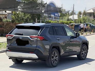 2023: Toyota RAV4: 2023 г., 2.5 л, Вариатор, Гибрид, Кроссовер — 4