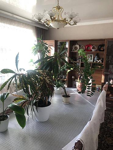 Продажа коттеджей и домов: 📍ул. Васильева 🔘6-комнат 🔘150м² Срочно продаётся добротный кирпичный — 6