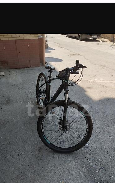 velosipet 29: Velosiped Mercury 29-luq — 3