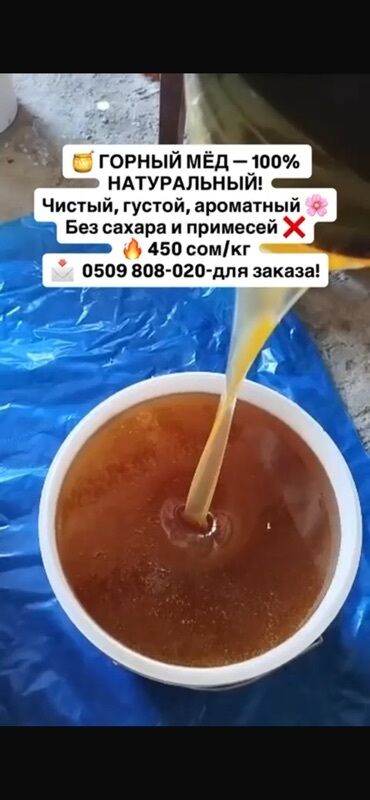 мед натуральный: Горный мёд, 100% натуральный продукт. Чистый, густой и ароматный, без