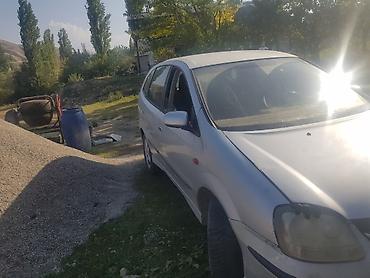 мотор муравей: Nissan Almera Tino: 2000 г., Минивэн — 1
