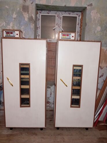 cins ineklerin satisi 2019: İnkubator 1000 yumurtalıq zakasla yigilir çıxış faizi 85-90 fayizi