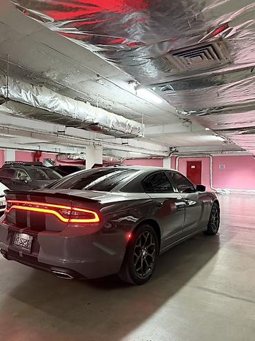 dodge купе: Dodge Challenger: 2019 г., 3.6 л, Автомат, Бензин, Седан — 7
