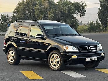 gl x164: Mercedes-Benz ML-Class: 2004 г., 3.5 л, Автомат, Газ, Внедорожник — 2