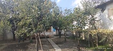 1 hektar torpaq satilir: 3 otaqlı, 40 kv. m — 2
