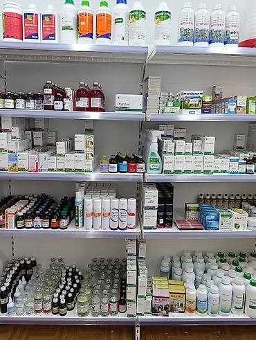 купить кошку в бишкеке: ?агазин Ветинтерсервис, Люксембург Ленина 143 — 10