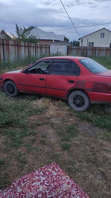 тойота корола 1997: Toyota Corolla: 1996 г., 1.6 л, Автомат, Бензин, Седан — 2