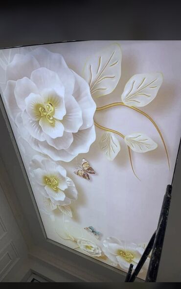 Натяжной потолок: Натяжной потолок Глянцевое, Матовое, 3D потолки Бесплатный замер — 20