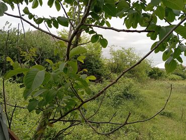 Torpaq sahələrinin satışı: Tikinti — 10