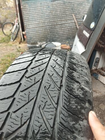 купить шины в бишкеке бу: Шины 205 / 55 / R 16, Зима, Легковые