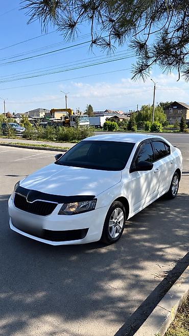 06 шоха: Skoda Octavia: 2016 г., 1.6 л, Автомат, Бензин, Седан — 1