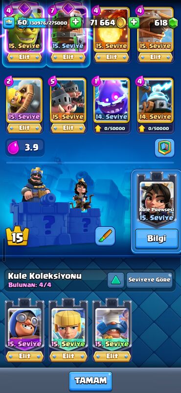 tik tok hesab satisi: Clash Royale hesabı satılır. Ciddi alıcılar yazsın hesabda 22 elit 15