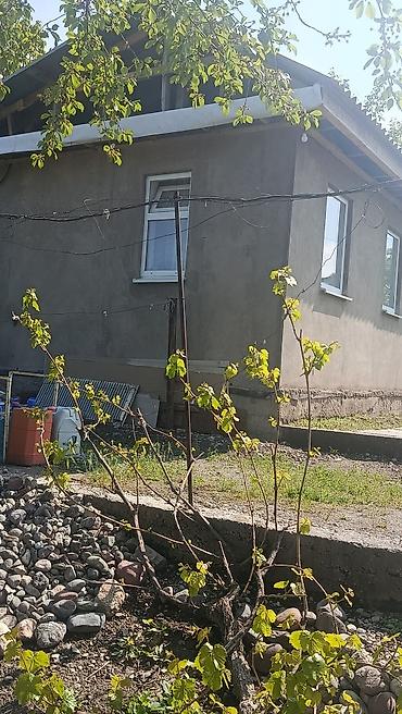 Продажа коттеджей и домов: Продается два участка. в одном есть времянка небольшая с погребом — 13