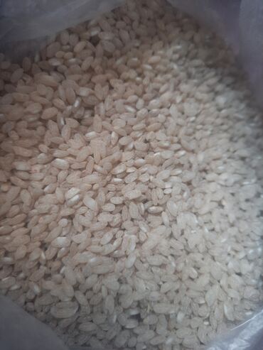 оптовые цены на продукты питания в бишкеке: Баткенски оптом и розниса достовка бесплатный Круглозёрный рис at lalafo.kg оптовые цены на продукты питания в бишкеке: Баткенски оптом и розниса достовка бесплатный Круглозёрный рис