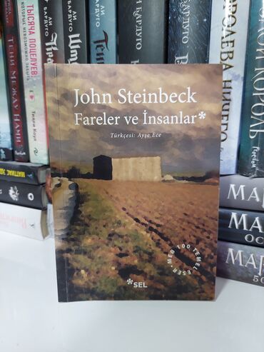 Bədii ədəbiyyat: Kitab dəsti – müxtəlif janrlarda 13 adda kitab Dəstdə olanlar: - — 2