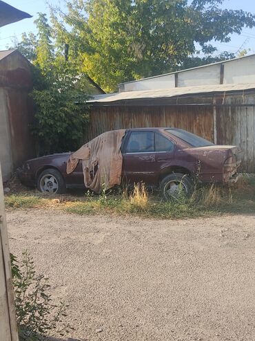 срочно в связи с переездом: Nissan Maxima: 1995 г., 3 л, Механика, Бензин, Седан
