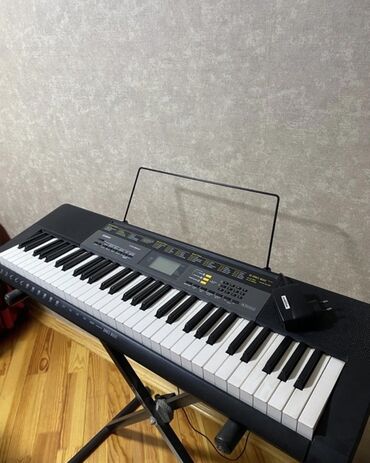 Mikrofonlar: Casio qara sintezator. Musiqi təhsili alanlar və ya musiqi ilə məşğul