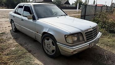 Mercedes-Benz W124: 1995 г., 3 л, Автомат, Бензин, Седан