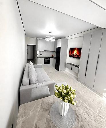 толстого: 2 комнаты, 47 м², ул. Лев Толстой Элитка, 2 этаж, Евроремонт — 7