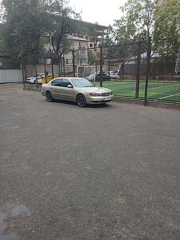 руль daewoo: Nissan Cefiro: 2002 г., 2.5 л, Автомат, Бензин, Седан — 2