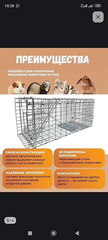 электропастух купить: Складная живоловушка-капкан гуманного типа Назначение: - Отлов кошек — 2