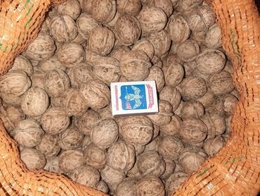 мускатный орех: Орехи Продаю Грецкие г.Кант
