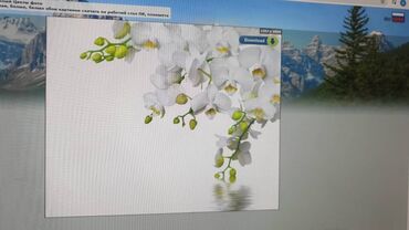 Натяжной потолок: Натяжной потолок Глянцевое, Матовое, 3D потолки Бесплатная консультация, Демонтаж, Бесплатный замер — 4